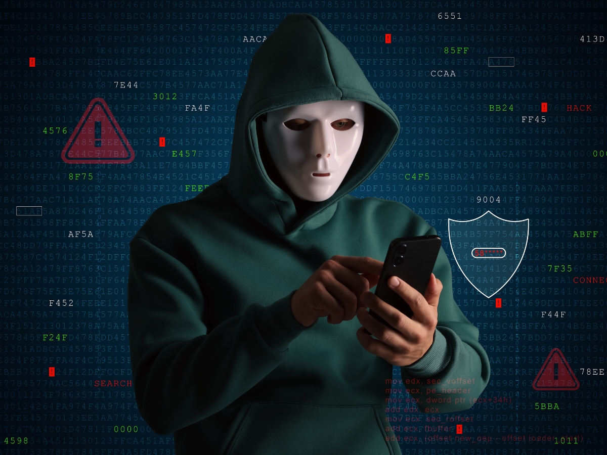 Online Fraud