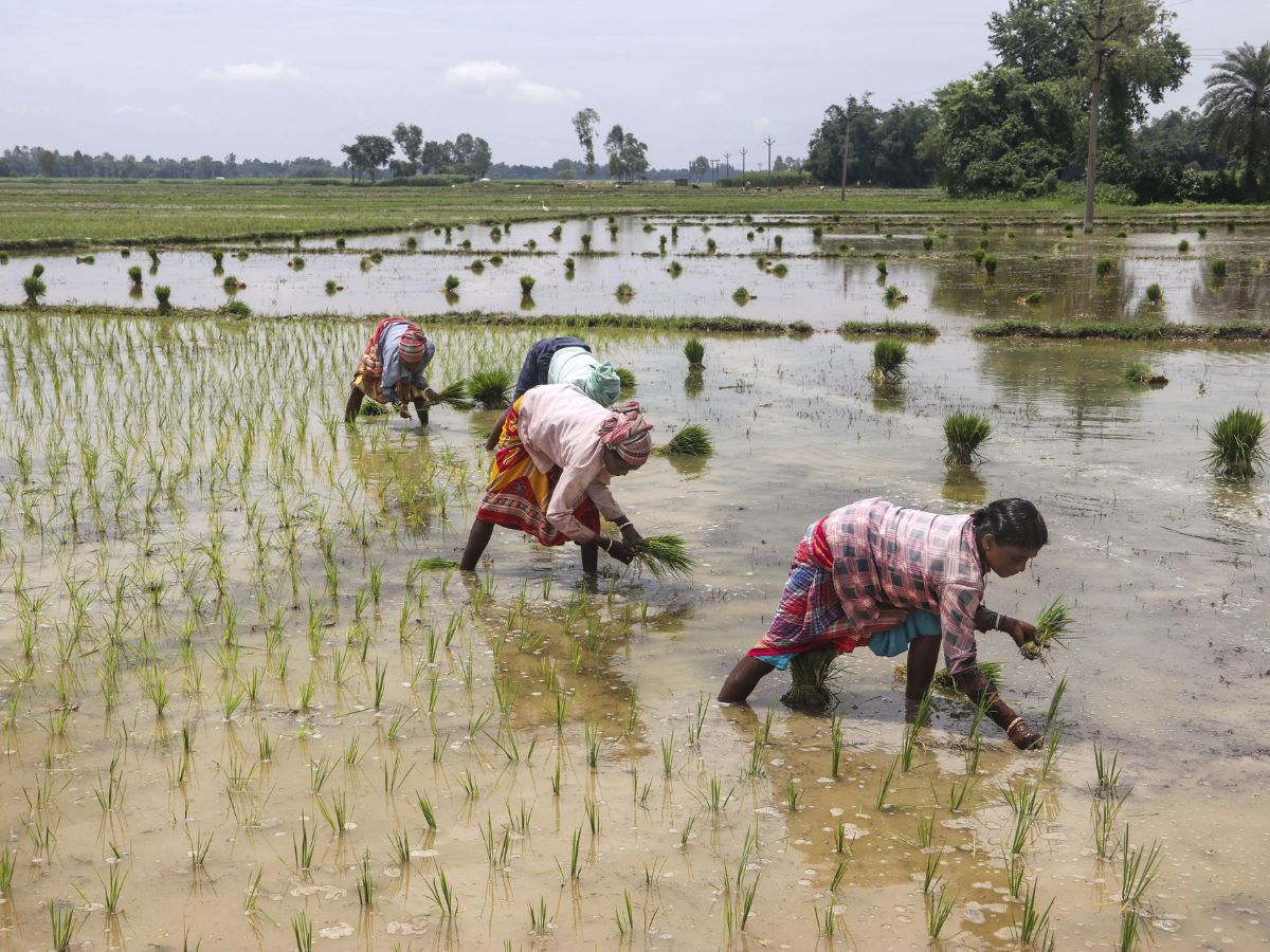 agriculture