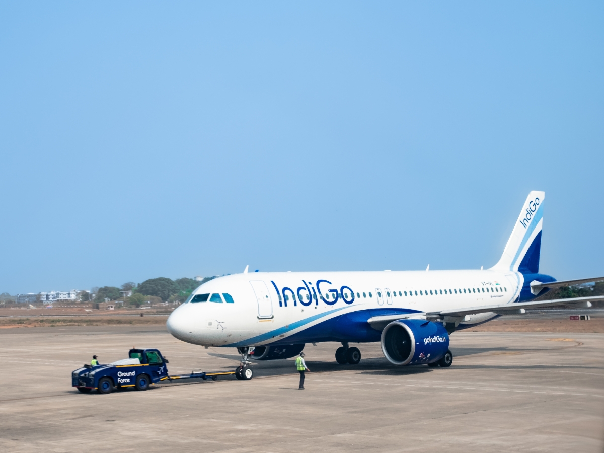 indigo