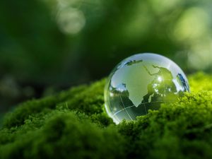 net zero