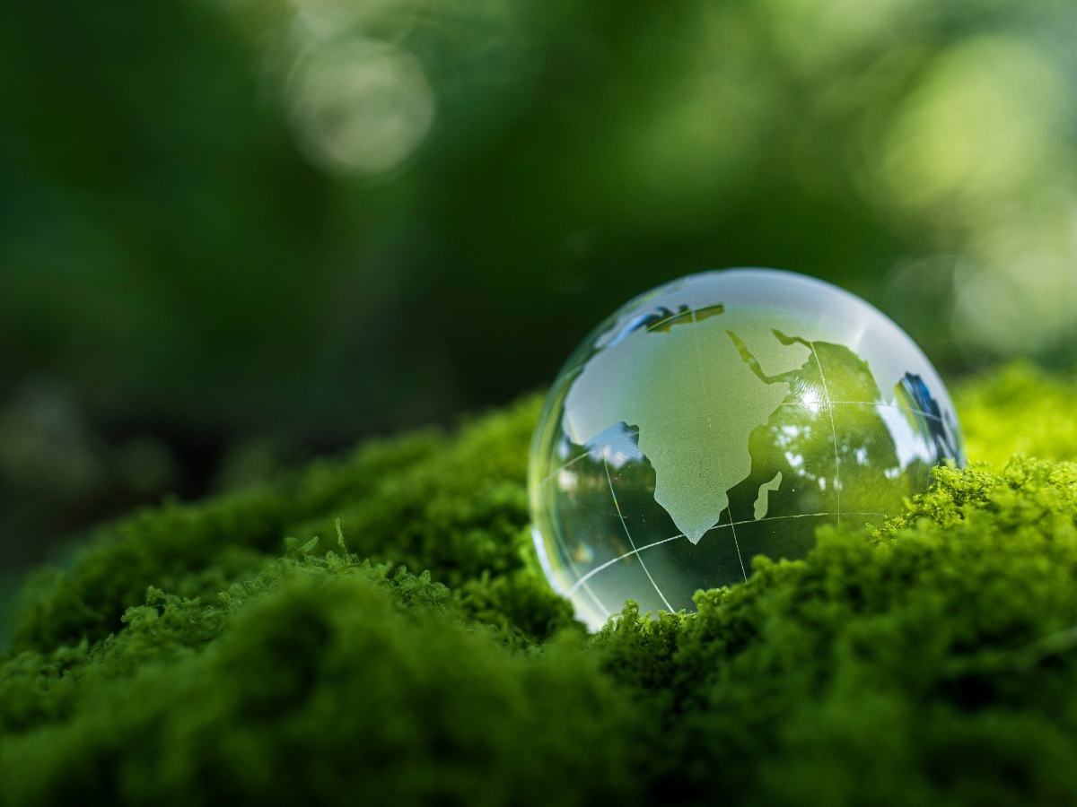 net zero
