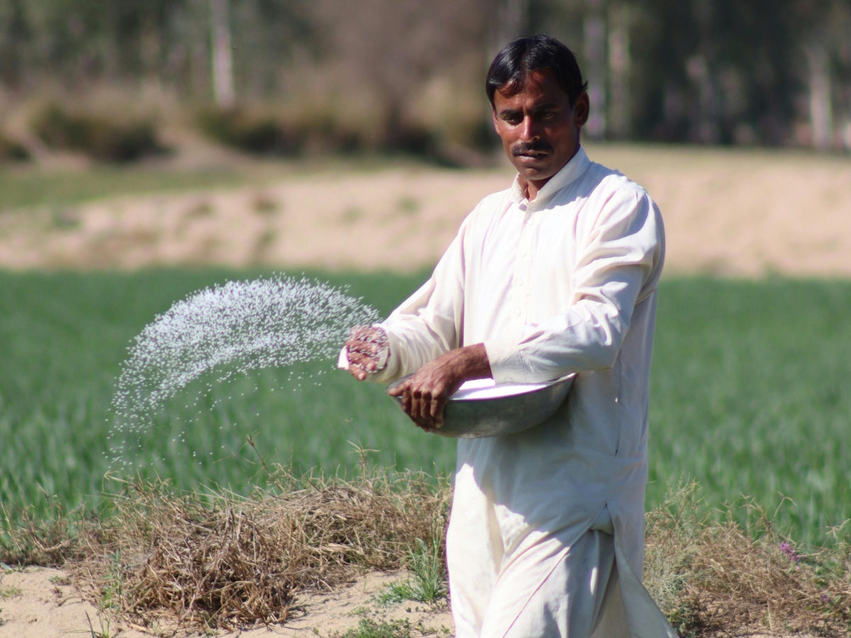 Fertilizer