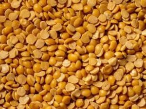Pulses