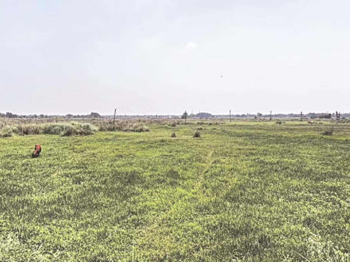 Poll Pulse 2026: Time for Singur to move on from being an election prop?