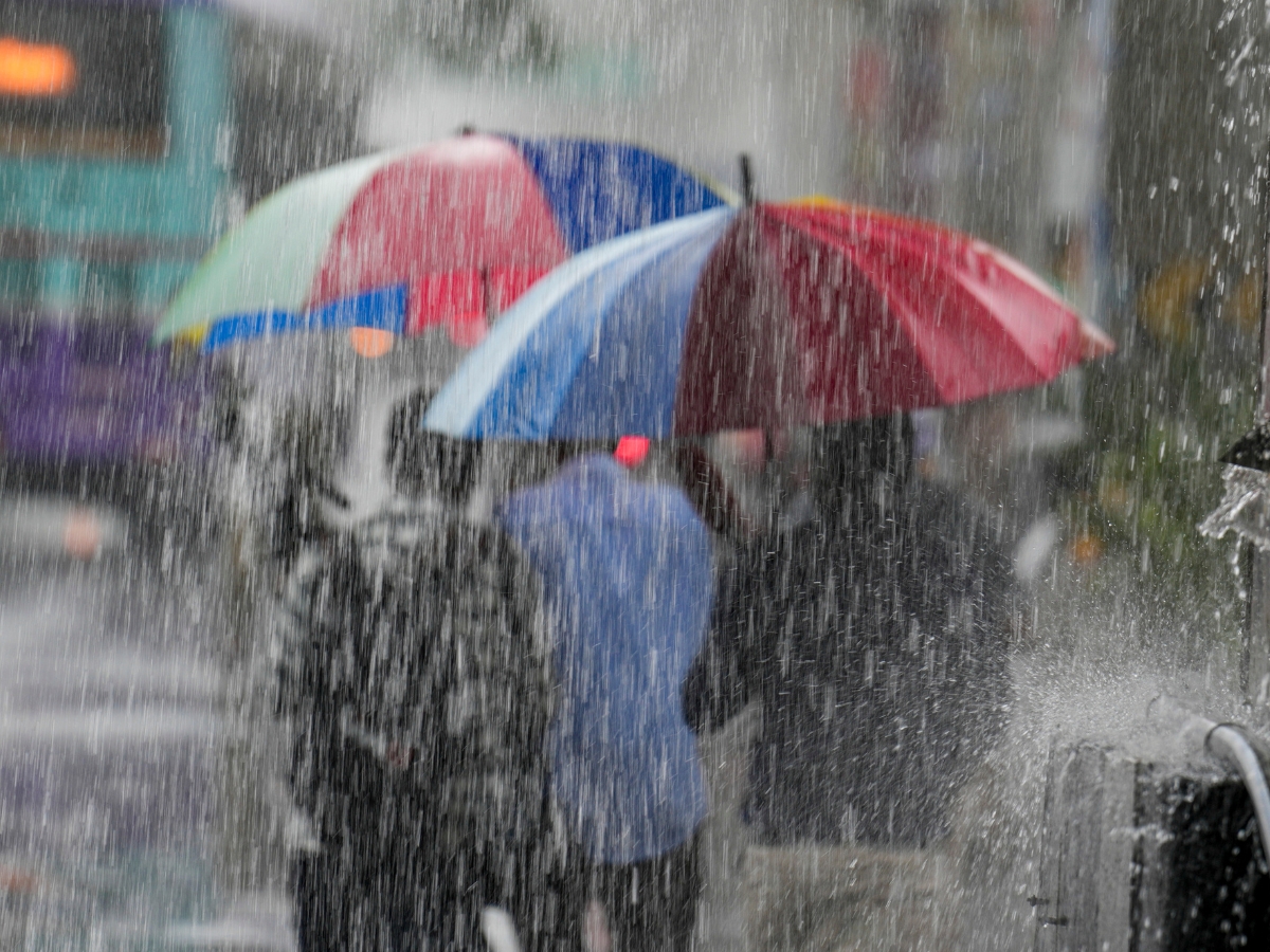 Monsoon Rain